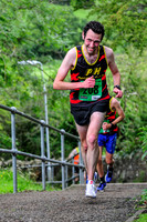 2017 - The Donkey Brae 7 Mile, Aberdour